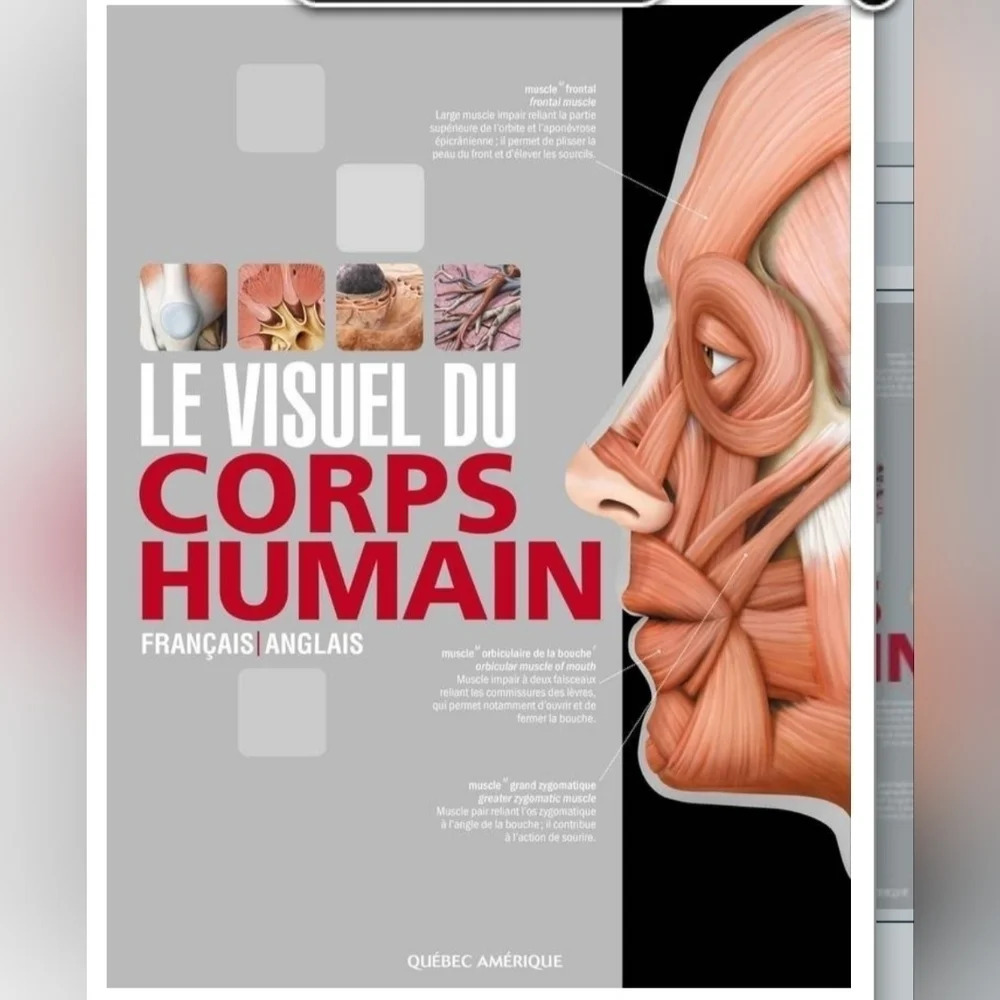 Le  Visuel du corps humain